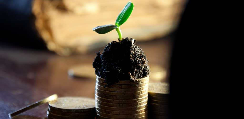 Rekomendasi Peluang Bisnis Jangka Panjang Yang Cocok Untuk Pemula