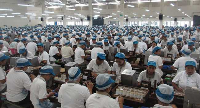 Klasifikasi Tenaga Kerja
