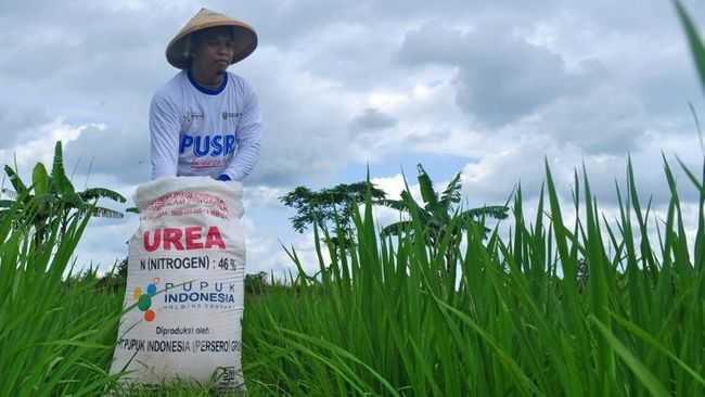 Tantangan dan Peluang Subsidi Pertanian di Era Modern Indonesia