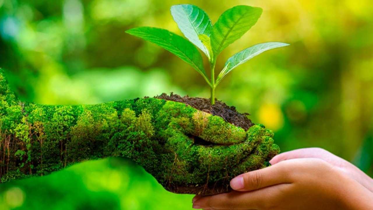 Upaya Dinas Lingkungan Hidup Kabupaten Melawi Meningkatkan Kualitas Udara Bersih