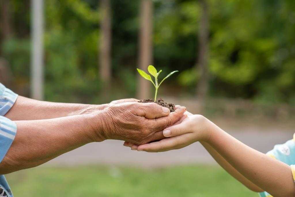 8 Dampak Program Hijau DLH Kepulauan Riau bagi Keberlanjutan Ekosistem
